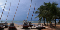 Ilha do Guajirú - The ecological paradise!