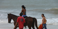 Ilha do Guajirú - The ecological paradise!