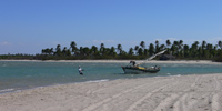 Ilha do Guajirú - The ecological paradise!