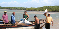 Ilha do Guajirú - The ecological paradise!