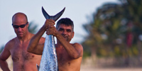 Ilha do Guajirú - The ecological paradise!