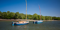 Ilha do Guajirú - The ecological paradise!