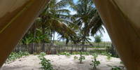 Ilha do Guajirú - The ecological paradise!