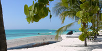 Ilha do Guajirú - The ecological paradise!