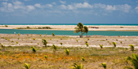 Ilha do Guajirú - The ecological paradise!