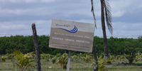 Ilha do Guajirú - The ecological paradise!