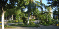 Ilha do Guajirú - The ecological paradise!