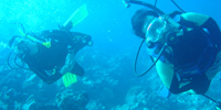 Ilha do Guajirú - The ecological paradise!