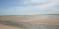 Ilha do Guajirú - The ecological paradise!