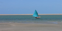 Ilha do Guajirú - The ecological paradise!