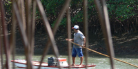 Ilha do Guajirú - The ecological paradise!