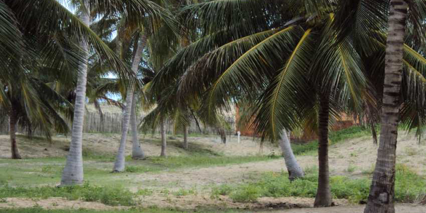 Ilha do Guajirú - The ecological paradise!